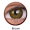 Brown (3 Tones) 
