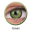 Green Glamour 