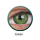 Green (3 Tones) (1)