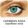 Caribean Aqua (2)